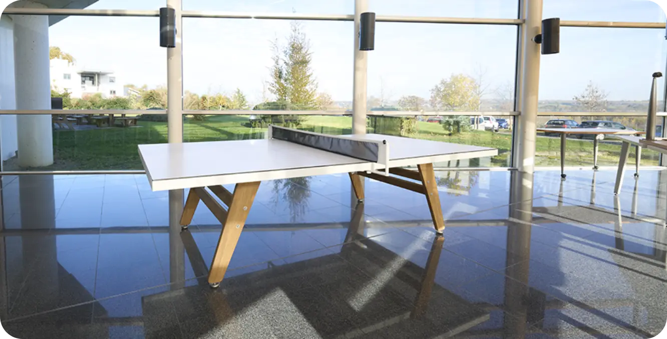 Table de ping-pong